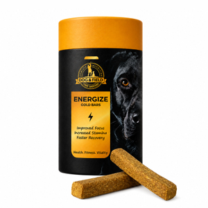 ENERGIZE Gold - Performance & Recovery Bars (350g | 10 Bars)