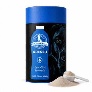 QUENCH – Hydration & Recovery Formula (250g)