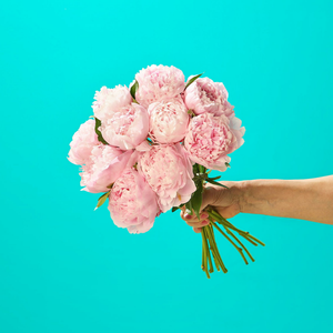 10 Perfect Peonies