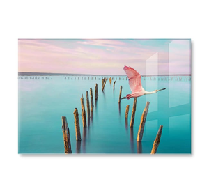 Roseate Spoonbill Over Turquoise Water