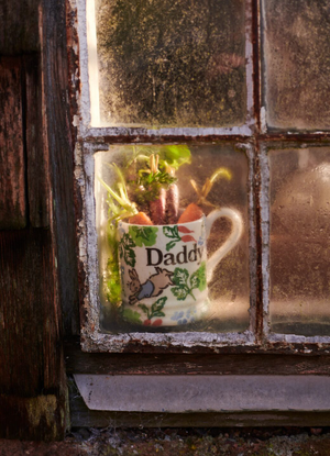 Peter Rabbit™ Garden Daddy 1/2 Pint Mug