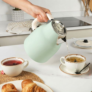 SALTER RETRO GREEN 1.7L Rapid Boil Kettle