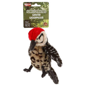 Walter Woodpecker Squeaky Soft Dog Toy