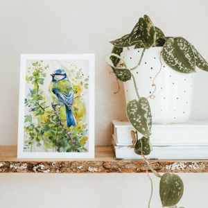 Blue Tit - A5