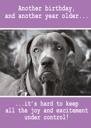 Moonpig Quitting Hollywood Paw Play Dog Birthday Funny Card