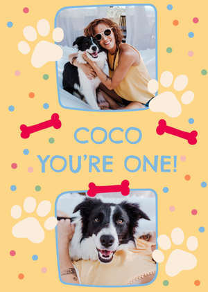 Moonpig For The Dog Photo Upload Birthday Card