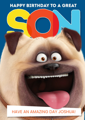 Moonpig Universal Secret Life Of Pets 2 Happy Birthday Son Card Featuring Mel