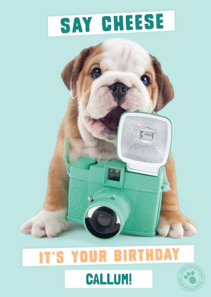 Studio Pets Cute Bulldog Holding Vintage Camera - Personalised Birthday Card