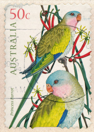 Moonpig Colourful Bird Stamp Card