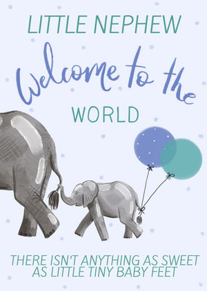 Moonpig Okey Dokey Design Illustrated New Baby Nephew Animals Cute Card