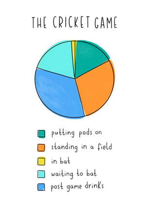 Moonpig Illustration Of A Pie Chart The Cricket Game Card