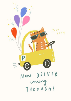 Moonpig Funny Illustration Of A Cool Cat Driving A Car Driving Test Pass Card