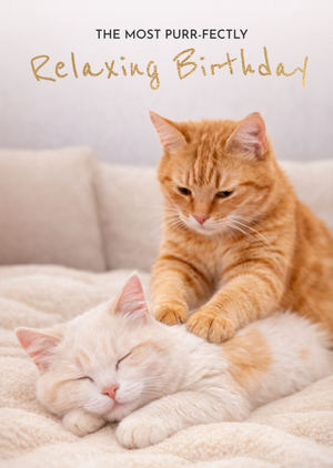 Moonpig Cute Cat Massage Purr-Fectly Relaxing Birthday Card