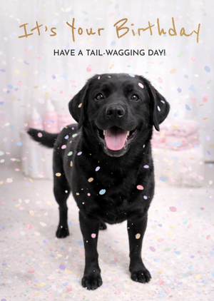 Moonpig Happy Black Labrador In Confetti It's Your Birthday Card