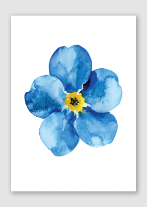 Solitary Petals of the Forget-Me-Not - A3, Unframed