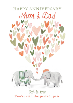 Moonpig You’re Still The Perfect Pair Elephants Illustrated Anniversary Card