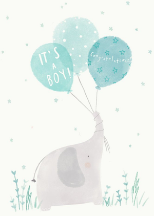 Moonpig Beth Fletcher Illustrations Cute Illustrated New Baby Boy Animals Card