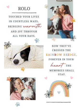 Moonpig Pet Sympathy Verse Photo Upload Card