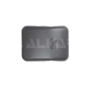 Cover, wide angle mirror