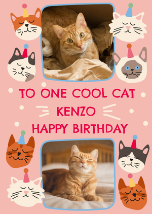 Moonpig To One Cool Cat Photo Upload Birthday Card