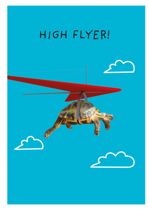 Moonpig Pigment Funny Tortoise High Flyer Congratulations Card
