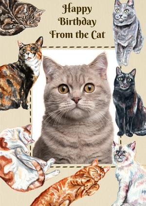 Moonpig From The The Cat Photo Upload Birthday Card