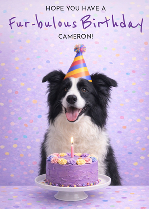Moonpig Have A Fur-Bulous Birthday Border Collie Card
