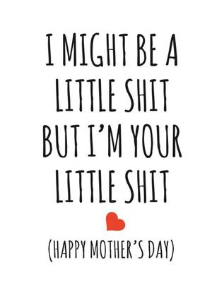 Banter King Typographical I Might Be A Little Shit But Im Your Littl Shit Card