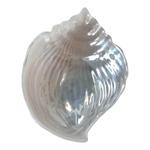 1970s Vintage Opaline Spun Glass Seashell Dish
