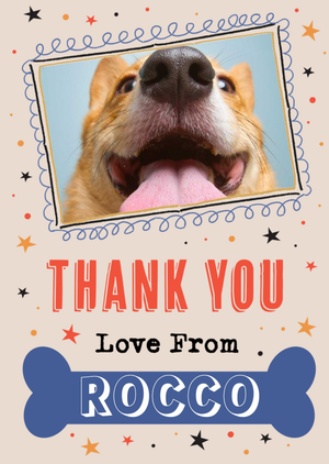 Moonpig Designers Photo Frame Surrounded By Colourful Stars From The Dog Photo Upload Thank You Card