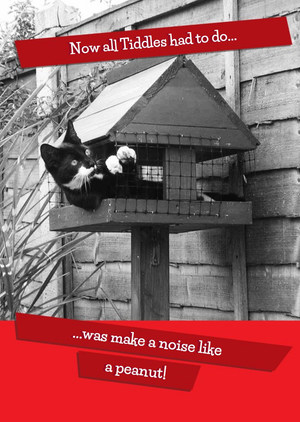 Moonpig Funny Cat Birthday Card