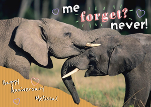 Moonpig Nozzling Elephants Happy Anniversary Card