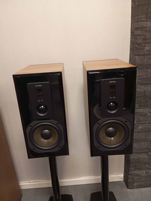 Dynavoice DM-6 II - Begagnad, 3månaders Garanti