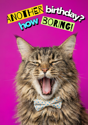 Moonpig Another Birthday How Boring Funny Yawning Cat Card