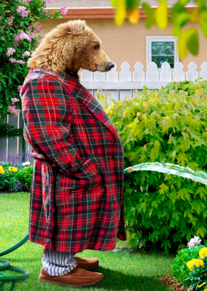 Moonpig Avanti Funny Papa Bear With A Garden Hose Watering Pants Birthday Card