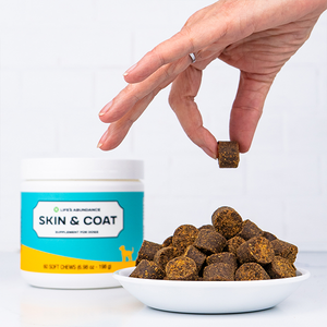 Skin & Coat Formula Soft Chews