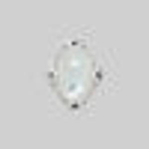 CIRCINUS. Gothic Pearl Ring - Silver - Silver / Large