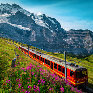 Five-Star All Inclusive Jungfrau Express
