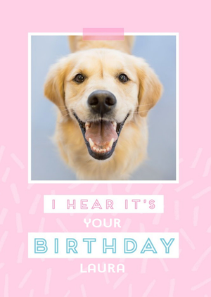 Moonpig Female Modern Birthday Card For Her With Labrador Dog
