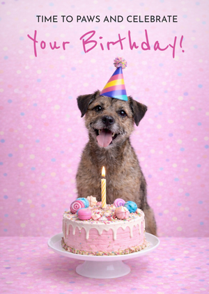 Moonpig Paws And Celebrate Border Terrier Birthday Card