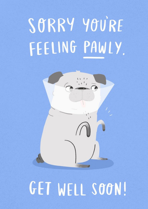 Moonpig Sorry You Are Feeling Pawly Card
