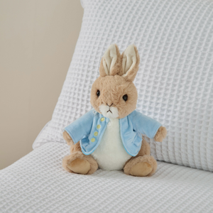 Enesco Personalised Peter RabbitTM Large Soft Toy