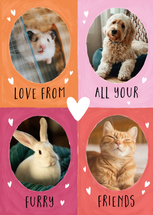 Moonpig Four Colourful Sections With Oval Photo Frames From Your Pets Photo Upload Valentine's Day Card