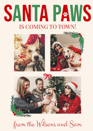 Moonpig Festive Sweet Santa Paws Dog And Cat Photo Upload Christmas Greetings Card