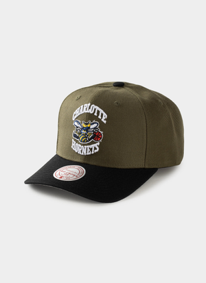 Mitchell & Ness NBA Charlotte Hornets Future Utility Pro Crown Snapback Cap