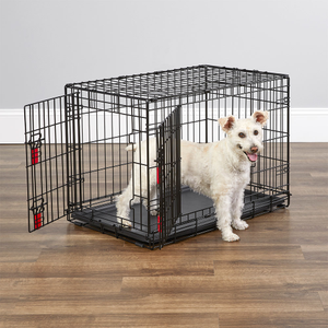 MIDWEST &amp; KONG Double Door Training Crate - 30 Inch : 78 CM
