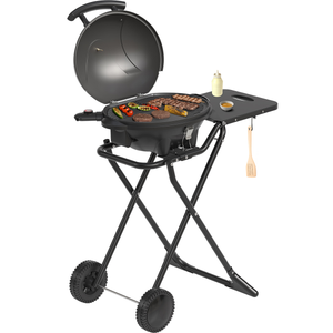 Elektrische BBQ - Opvouwbaar - Zwart