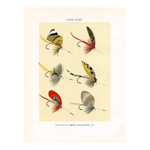 Vintage Lake Fishing Flies Print by Charles Orvis, Original Vintage Fishing Print, Lithograph