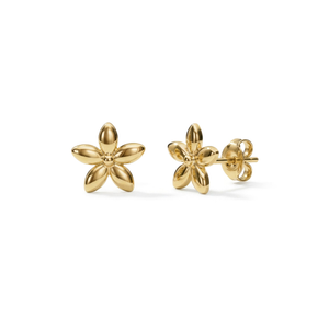 9ct Gold Daisy Stud Earrings