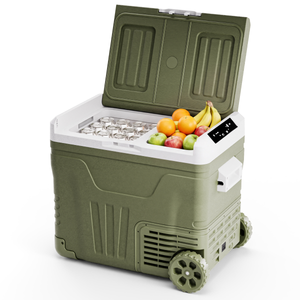 Elektrische Koelbox - Compressor - 45L - Groen